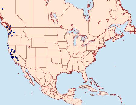 Distribution Data for Morophagoides burkerella