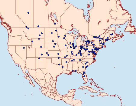 Distribution Data for Pelochrista cataclystiana