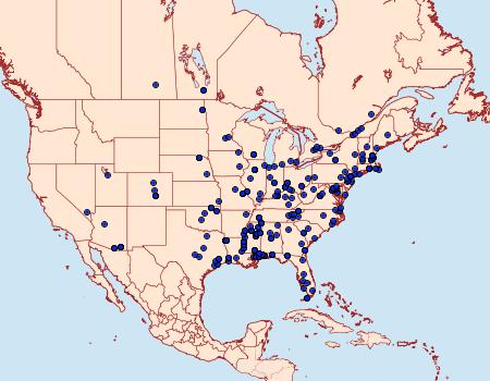 Distribution Data for Xylesthia pruniramiella