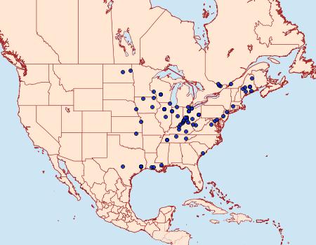 Distribution Data for Epiblema boxcana