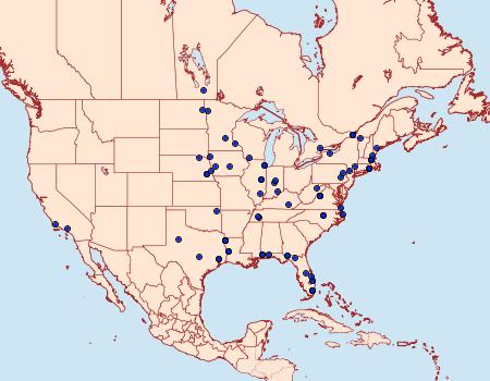 Distribution Data for Epiblema minutana