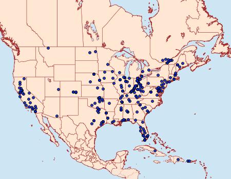 Distribution Data for Epiblema strenuana