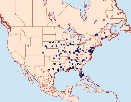 Distribution Data for Epiblema abruptana