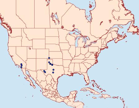 Distribution Data for Epiblema cimarronensis