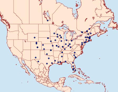 Distribution Data for Epiblema tripartitana