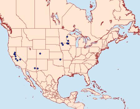 Distribution Data for Epiblema benignata