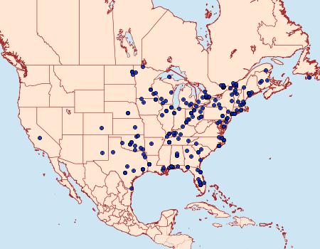 Distribution Data for Epiblema scudderiana