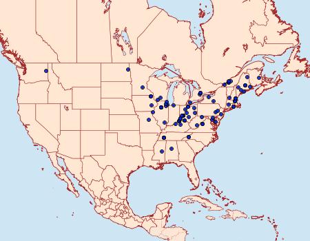 Distribution Data for Epiblema obfuscana