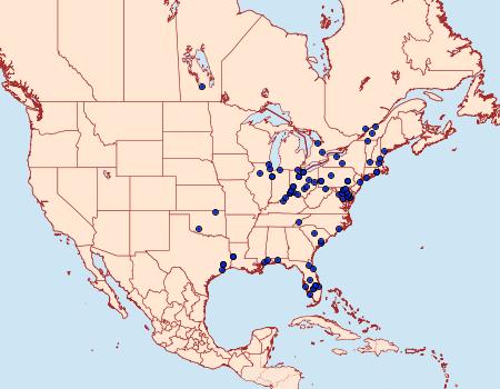 Distribution Data for Epiblema desertana