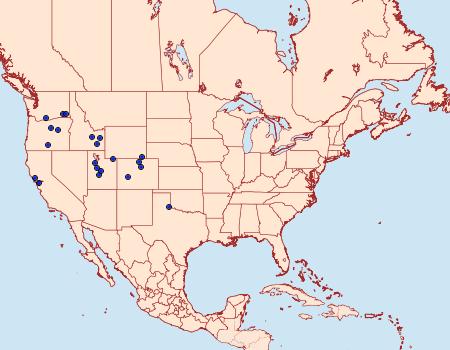 Distribution Data for Epiblema hirsutana