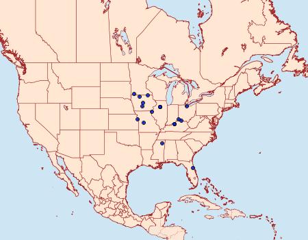 Distribution Data for Epiblema iowana