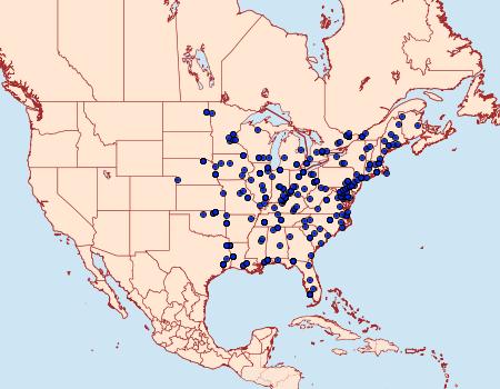 Distribution Data for Epiblema otiosana