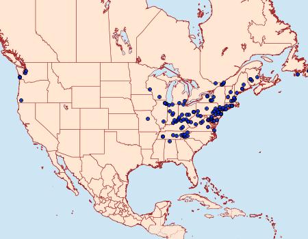 Distribution Data for Notocelia rosaecolana