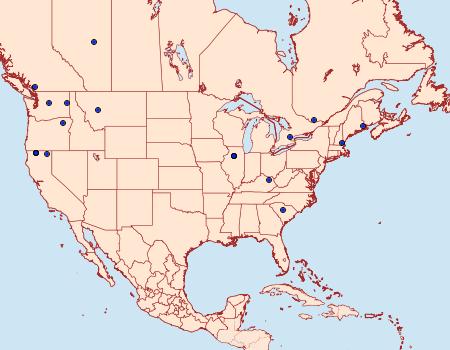 Distribution Data for Notocelia illotana