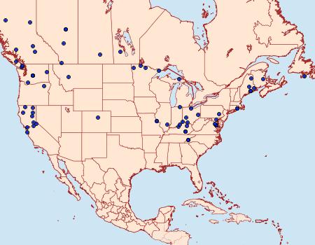 Distribution Data for Notocelia culminana