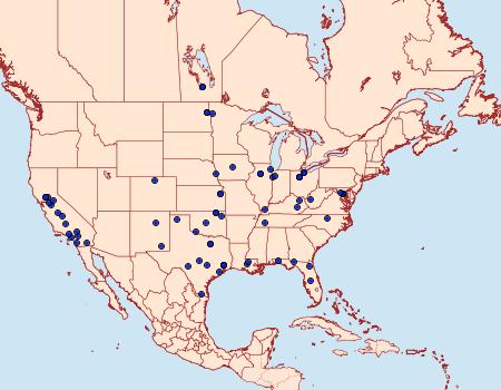 Distribution Data for Suleima helianthana