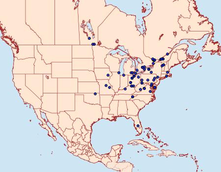 Distribution Data for Sonia canadana