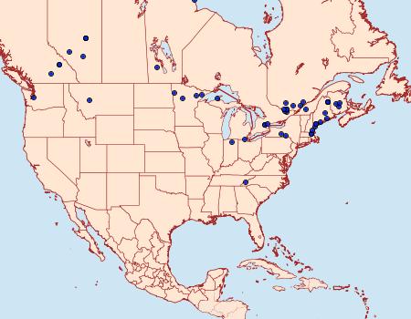 Distribution Data for Gypsonoma fasciolana