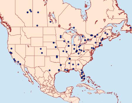 Distribution Data for Gypsonoma salicicolana