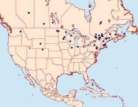 Distribution Data for Gypsonoma adjuncta