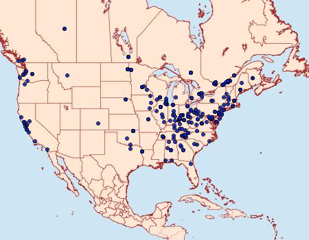 Distribution Data for Proteoteras aesculana