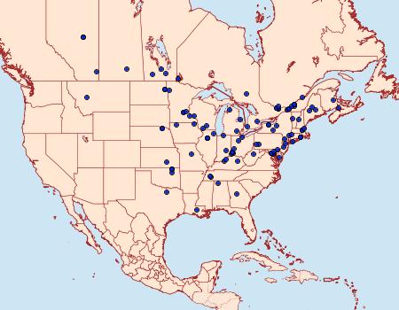 Distribution Data for Proteoteras crescentana