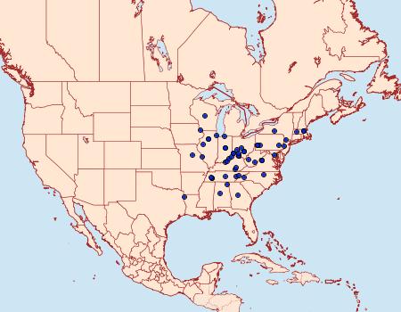 Distribution Data for Proteoteras naracana