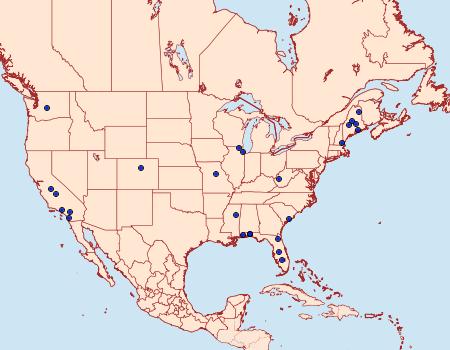 Distribution Data for Cephimallota obscurostrigella