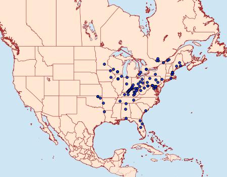 Distribution Data for Pseudexentera cressoniana