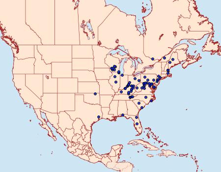 Distribution Data for Pseudexentera spoliana