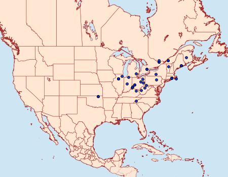 Distribution Data for Pseudexentera maracana