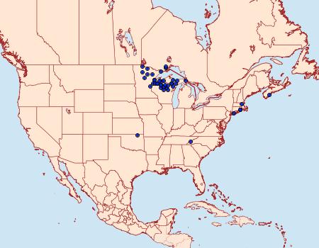 Distribution Data for Pseudexentera kalmiana