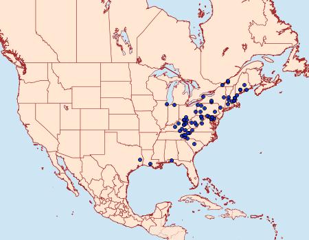 Distribution Data for Pseudexentera costomaculana