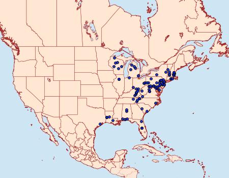 Distribution Data for Pseudexentera virginiana