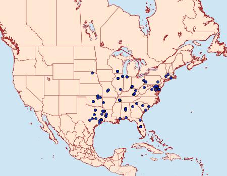 Distribution Data for Gretchena bolliana