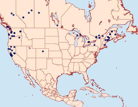 Distribution Data for Epinotia radicana