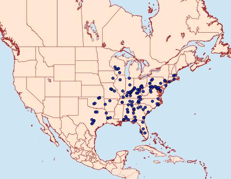 Distribution Data for Chimoptesis pennsylvaniana