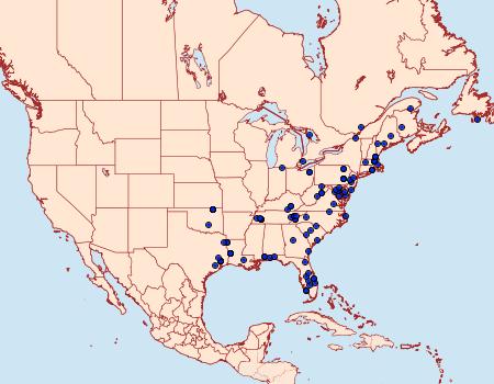 Distribution Data for Rhopobota dietziana