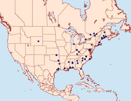 Distribution Data for Rhopobota finitimana