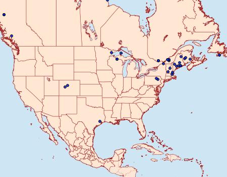 Distribution Data for Epinotia trigonella