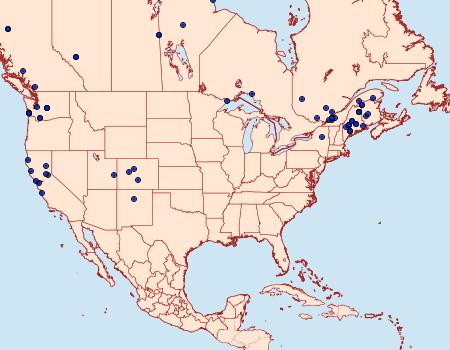 Distribution Data for Epinotia solandriana