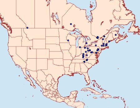 Distribution Data for Epinotia medioviridana