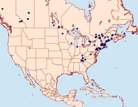 Distribution Data for Epinotia transmissana