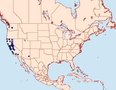 Distribution Data for Epinotia nigralbana