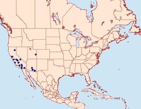 Distribution Data for Amydria curvistrigella