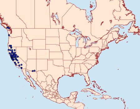 Distribution Data for Epinotia emarginana