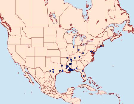 Distribution Data for Amydria dyarella