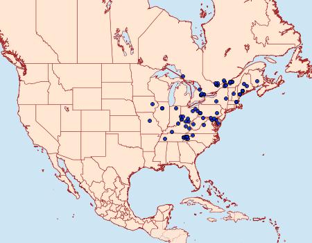 Distribution Data for Catastega aceriella