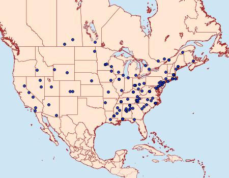 Distribution Data for Amydria effrenatella