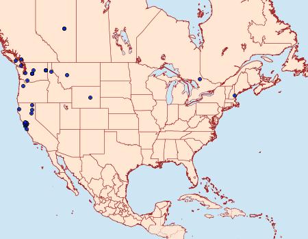 Distribution Data for Epinotia lomonana